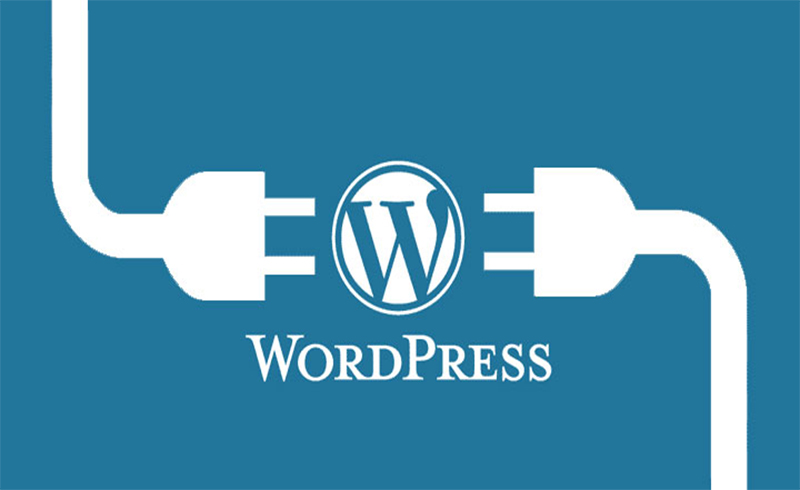 WordPress đa dạng plugin và themes