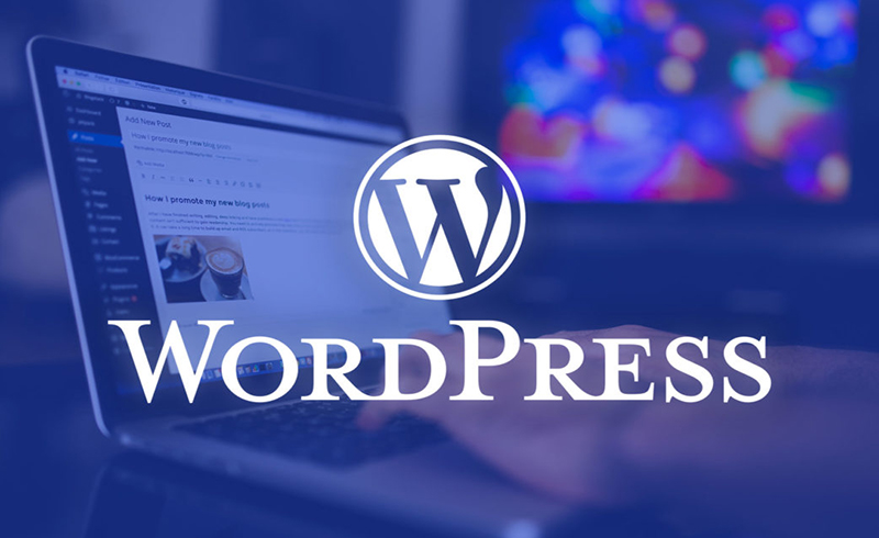 WordPress là một hệ thống mã nguồn mở